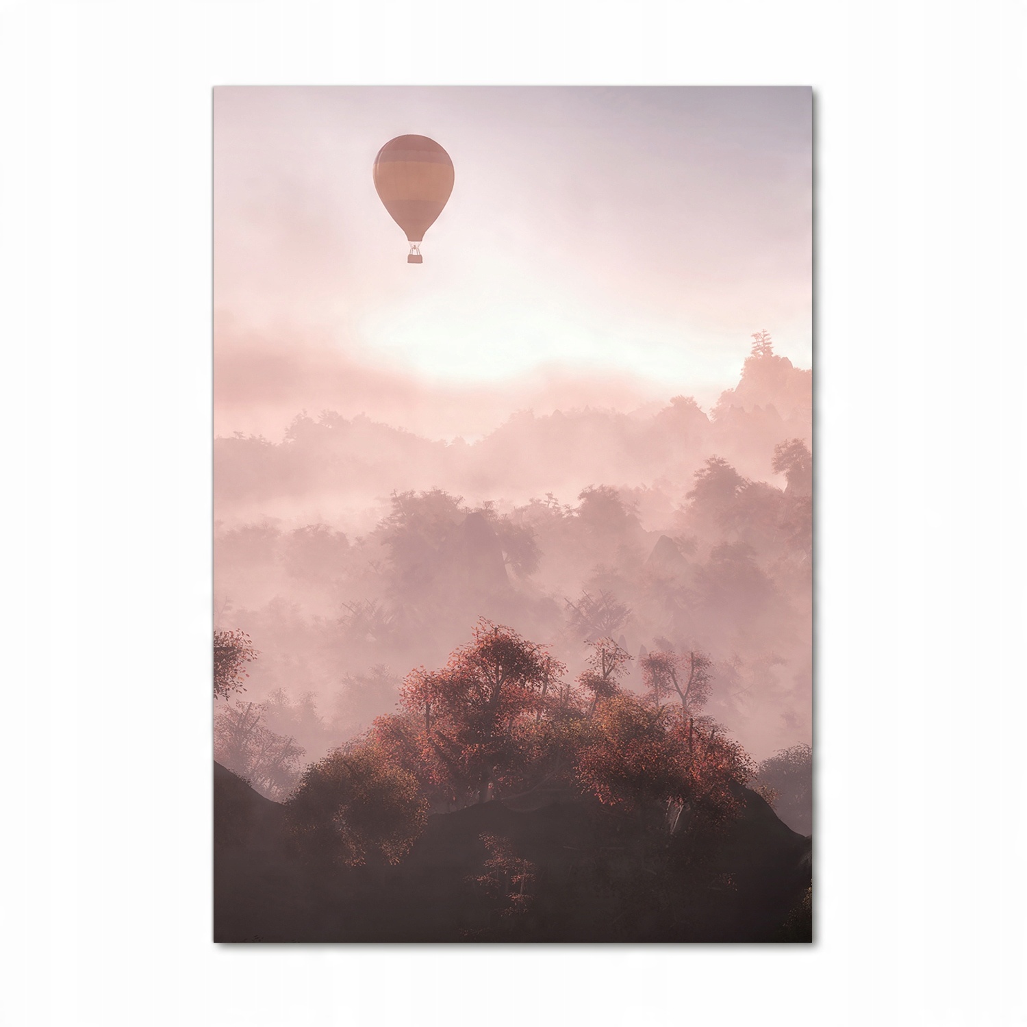 

Foto obraz na szkle Latający balon las 70x100 cm