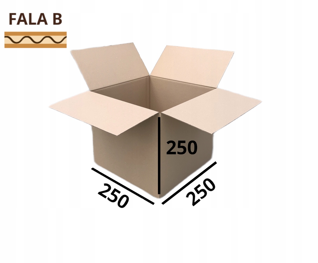 Karton 250x250x250 mm Karton klapowy 100 sztuk 25x25x25 pudełka
