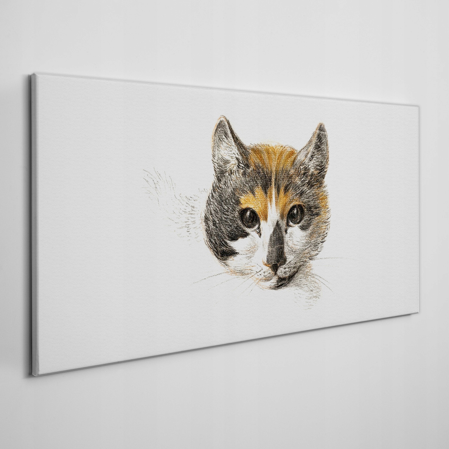 

Obraz na płótnie na ramie Zwierzę kot 140x70 cm