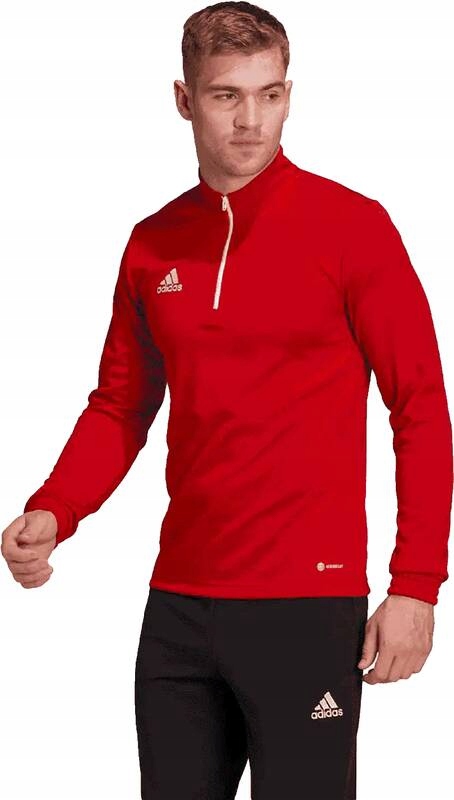 Pánská tréninková mikina Adidas Entrada 22 Training Top červená