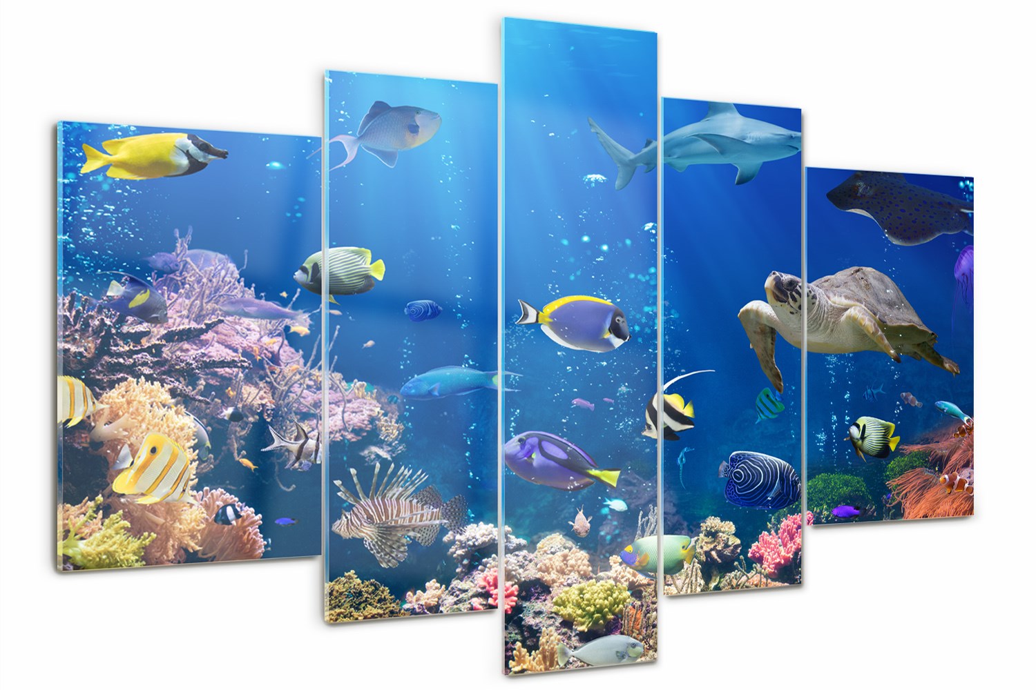 

Foto Obraz szklany duży tryptyk Rafa koralowa