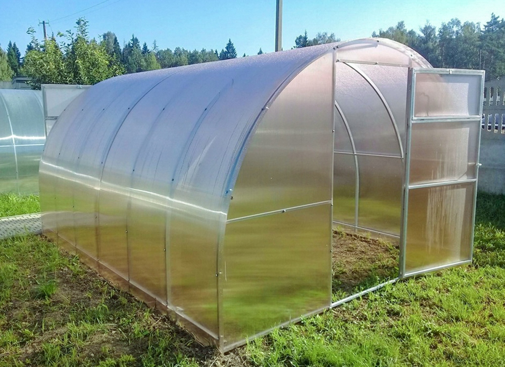 SZKLARNIA z POLIWĘGLANU 3x6m z OCYNK TUNEL 40x20mm Producent Profimet