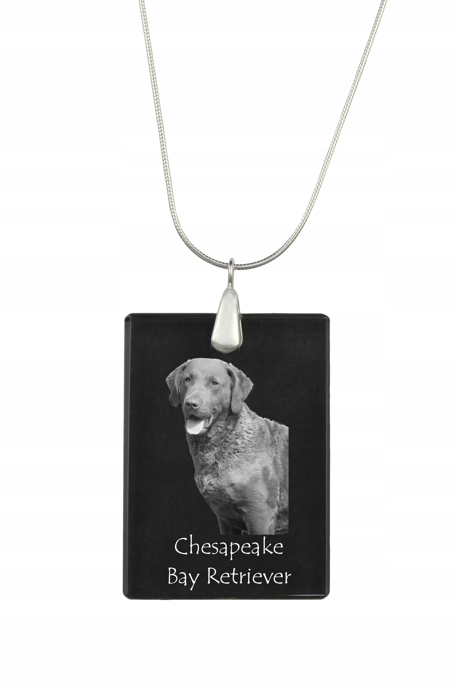Chesapeake Bay Retriever stříbrný náhrdelník s křišťálovým přívěskem se psem