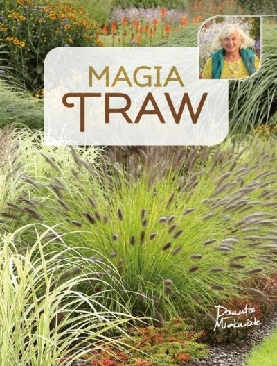 

Magia traw