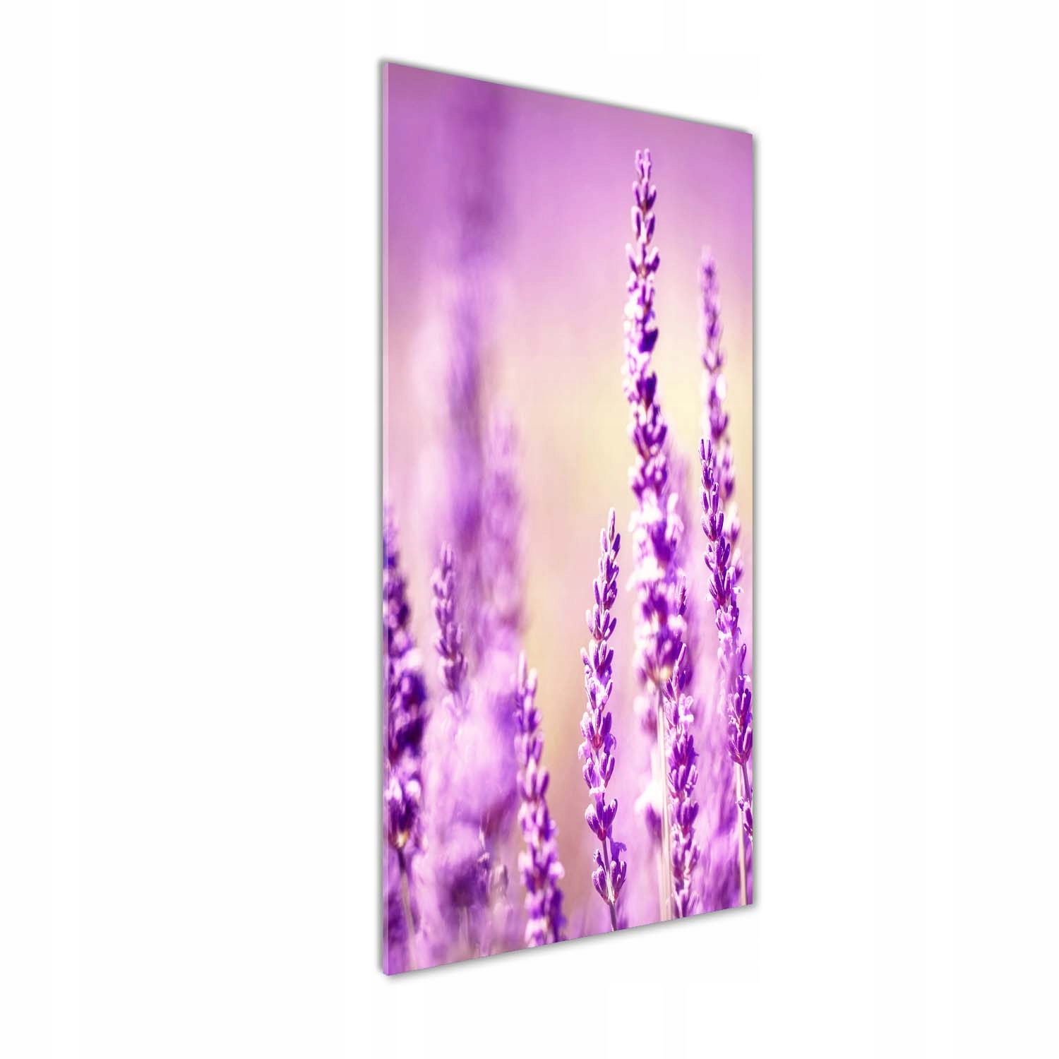 

Foto obraz akrylowy na ścianę Lawenda 50x125 cm