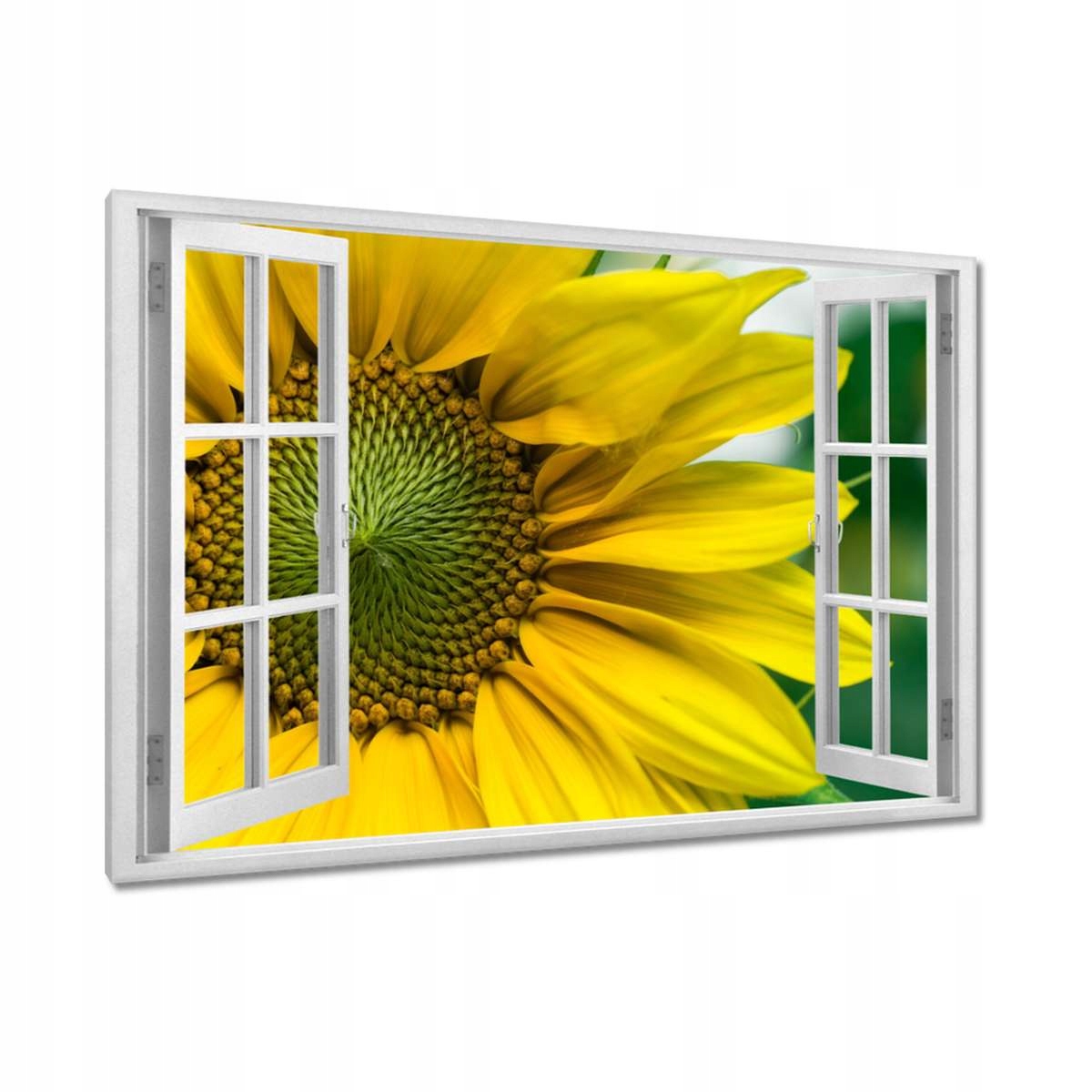 Obrazy 120x80 Květ Slunečnice