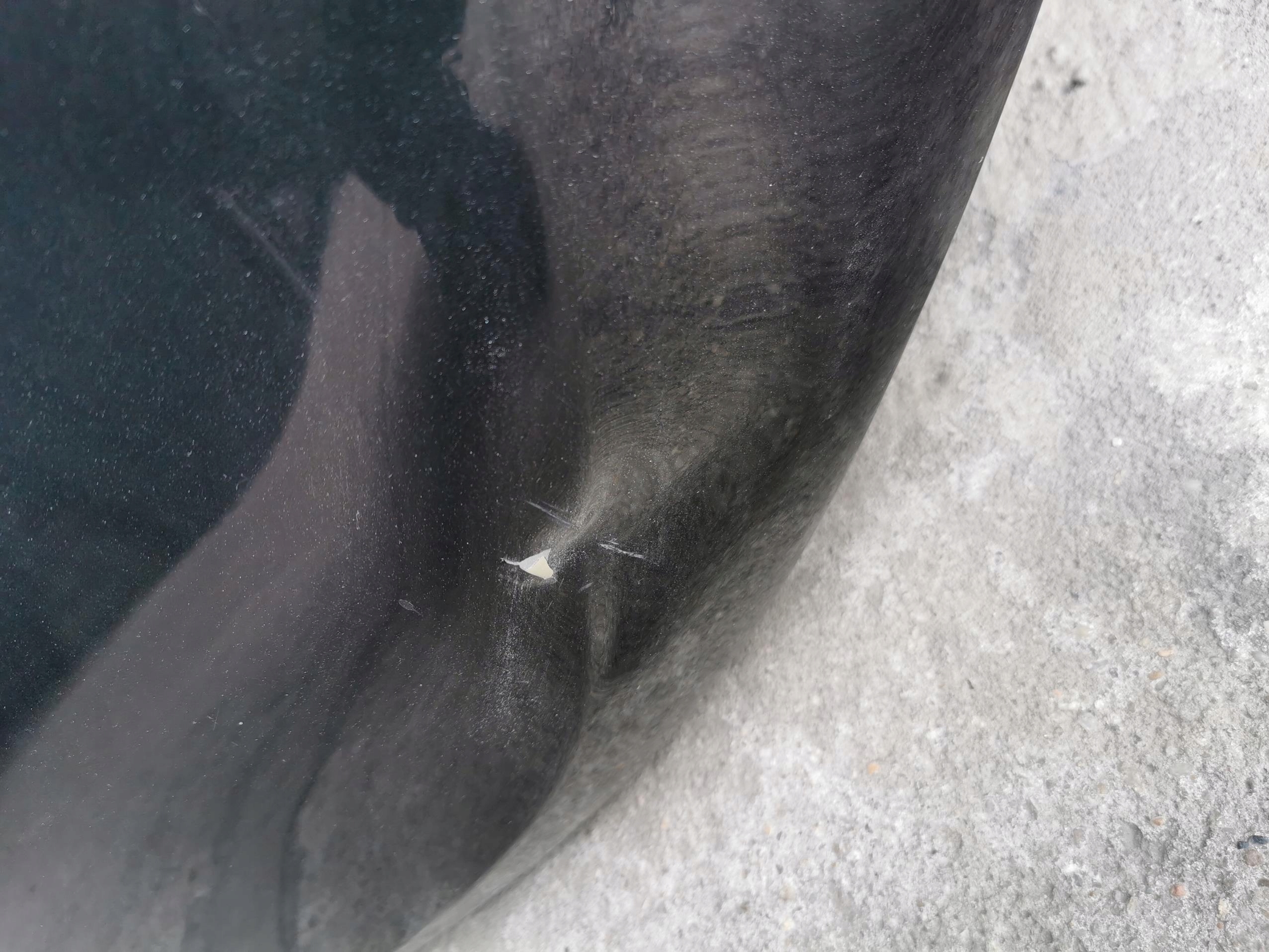 Cofano CHEVROLET CAPTIVA e LIFT GAR