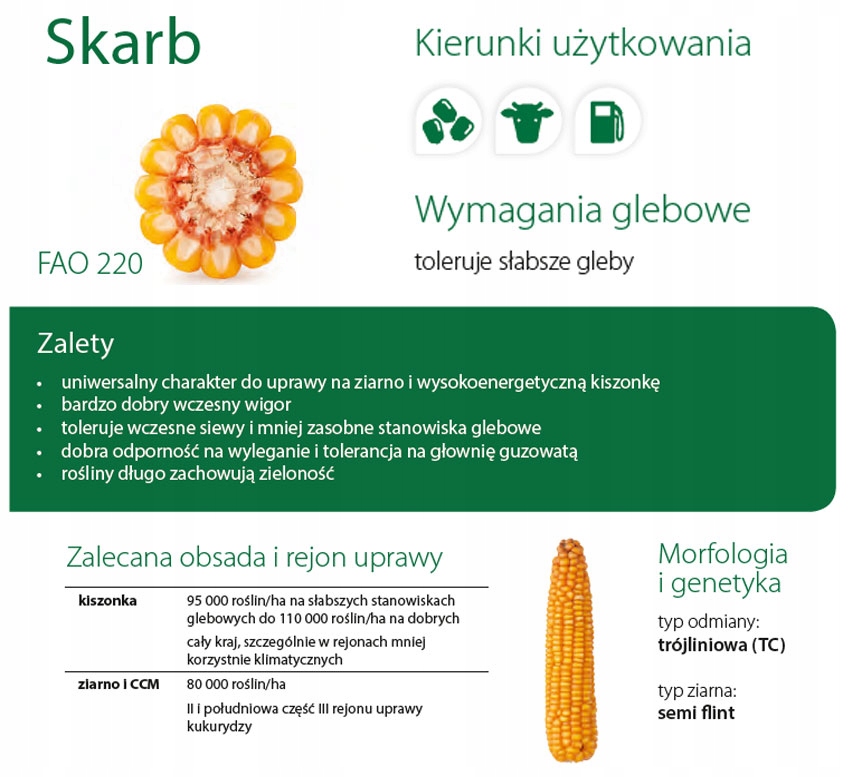 Semena Kukuřice Poklad Fao220