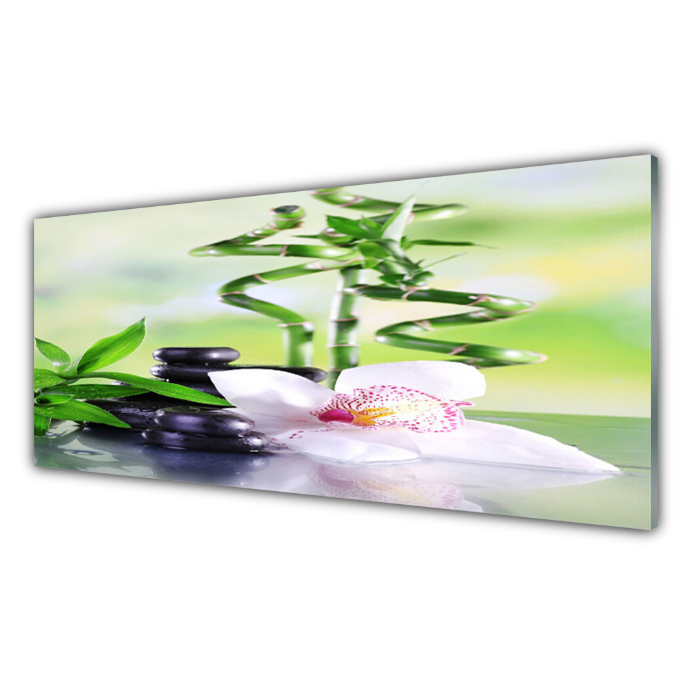 

Fotoobraz na ścianę 125x50 Storczyk Bambus Zen Spa