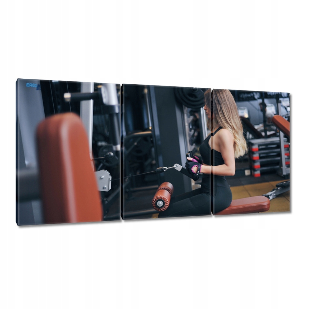 

Obrazy 120x60 Siłownia Ćwiczenia Moc