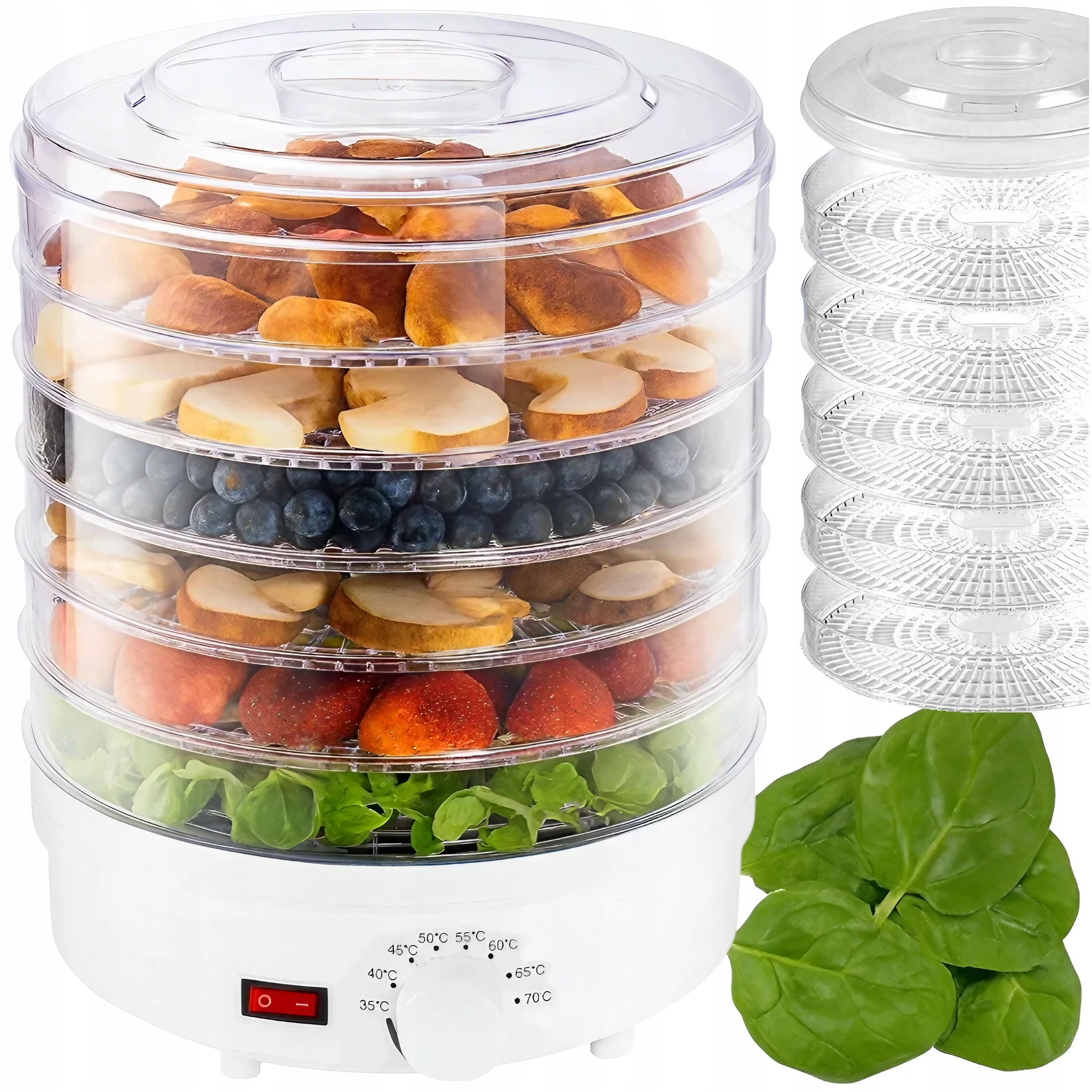 Suszarka Spożywcza Do Grzybów Owoców Warzyw Regulacja 5 Poziomów 500W Duża