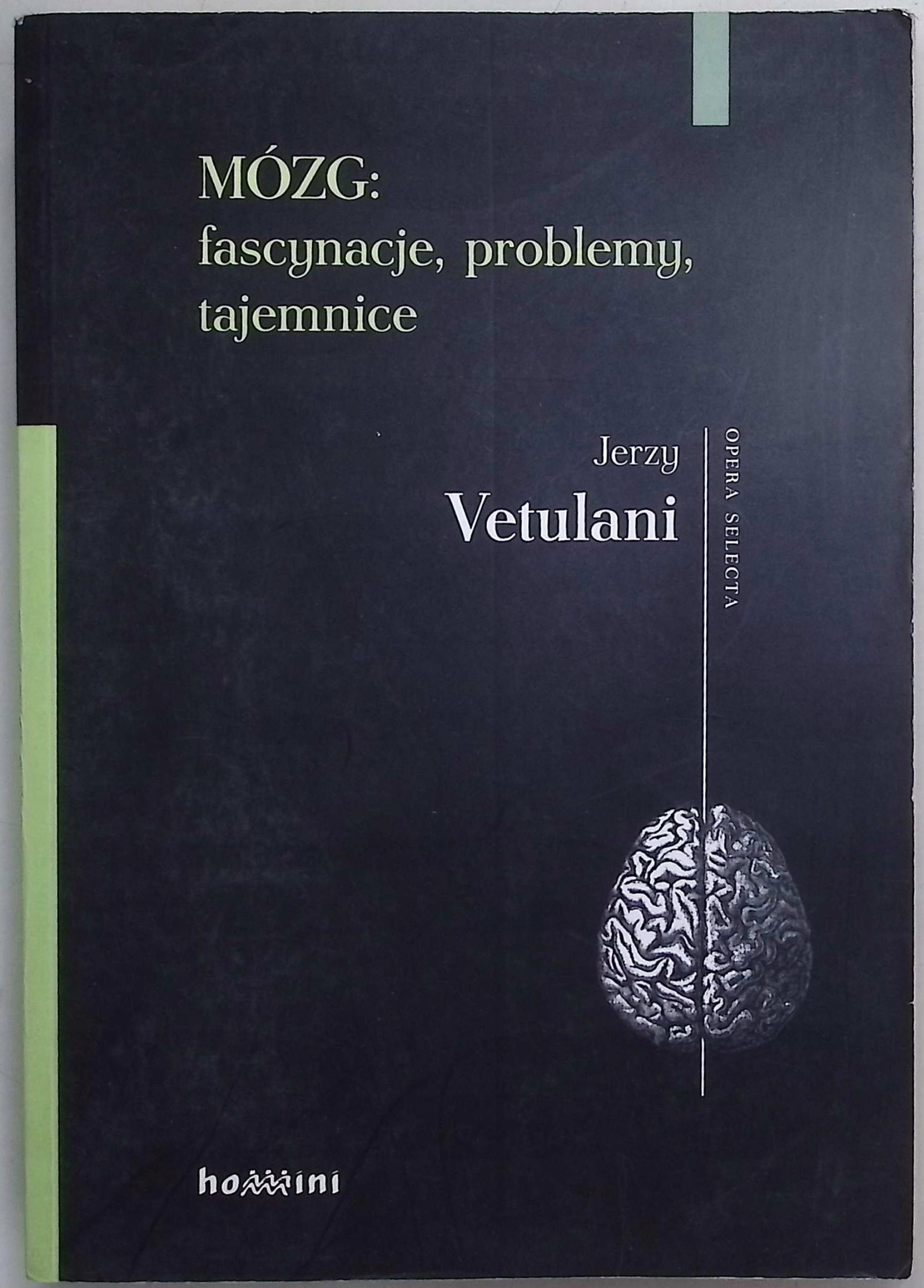 Mózg Fascynacje problemy tajemnice