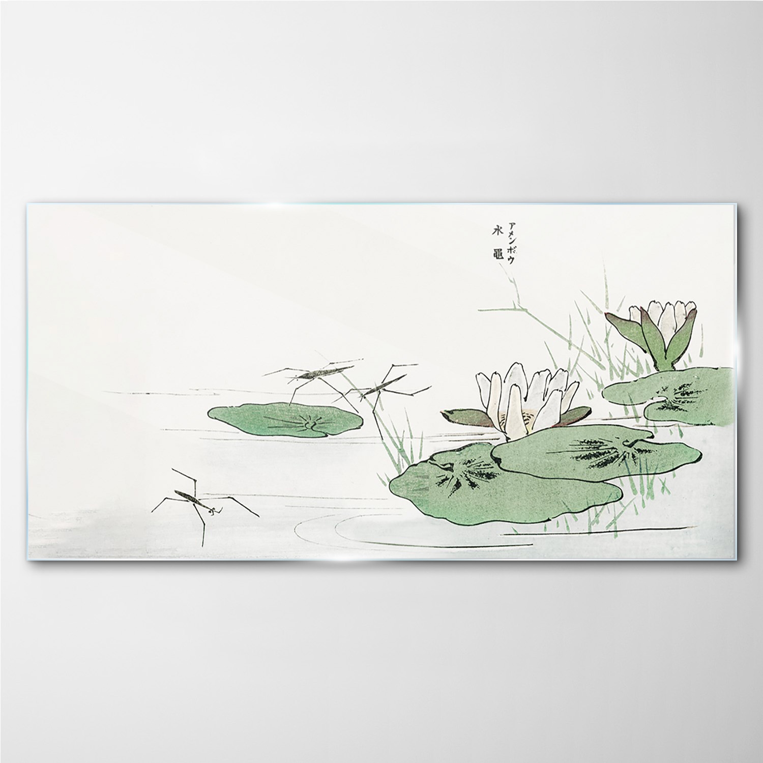 

Foto-obraz na szkle Liście jezioro owady 140x70 cm