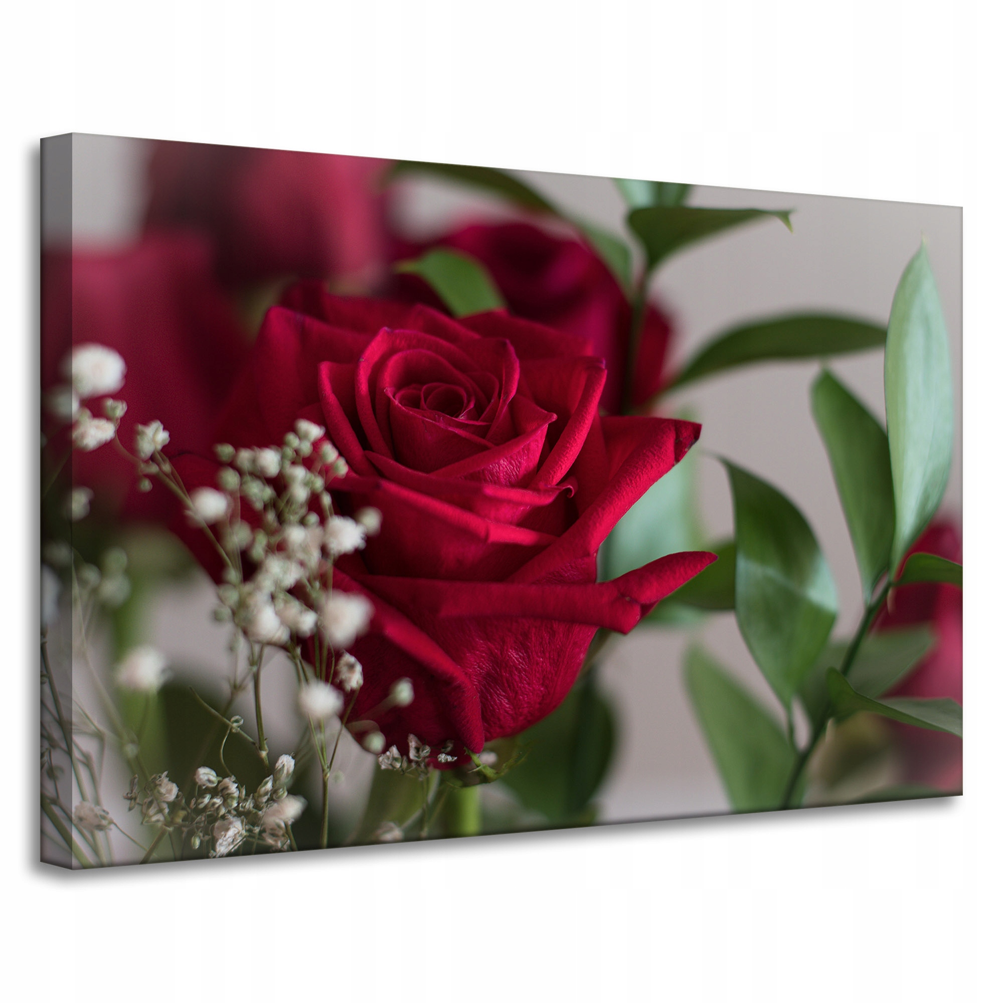 Obraz Canvas Botanika Krvavá růže 90x60 cm