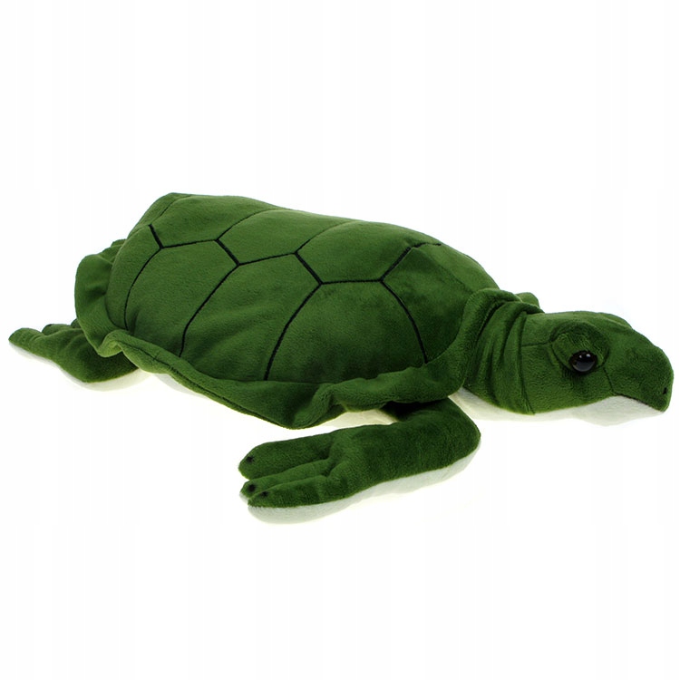 

Zoo: Maskotka Żółw zielony morski 45cm (00053)