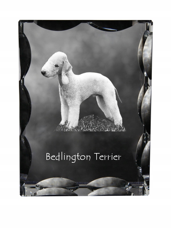 Bedlington Terrier fotografia psa v ozdobnom kryštáli, suvenír, dekorácia