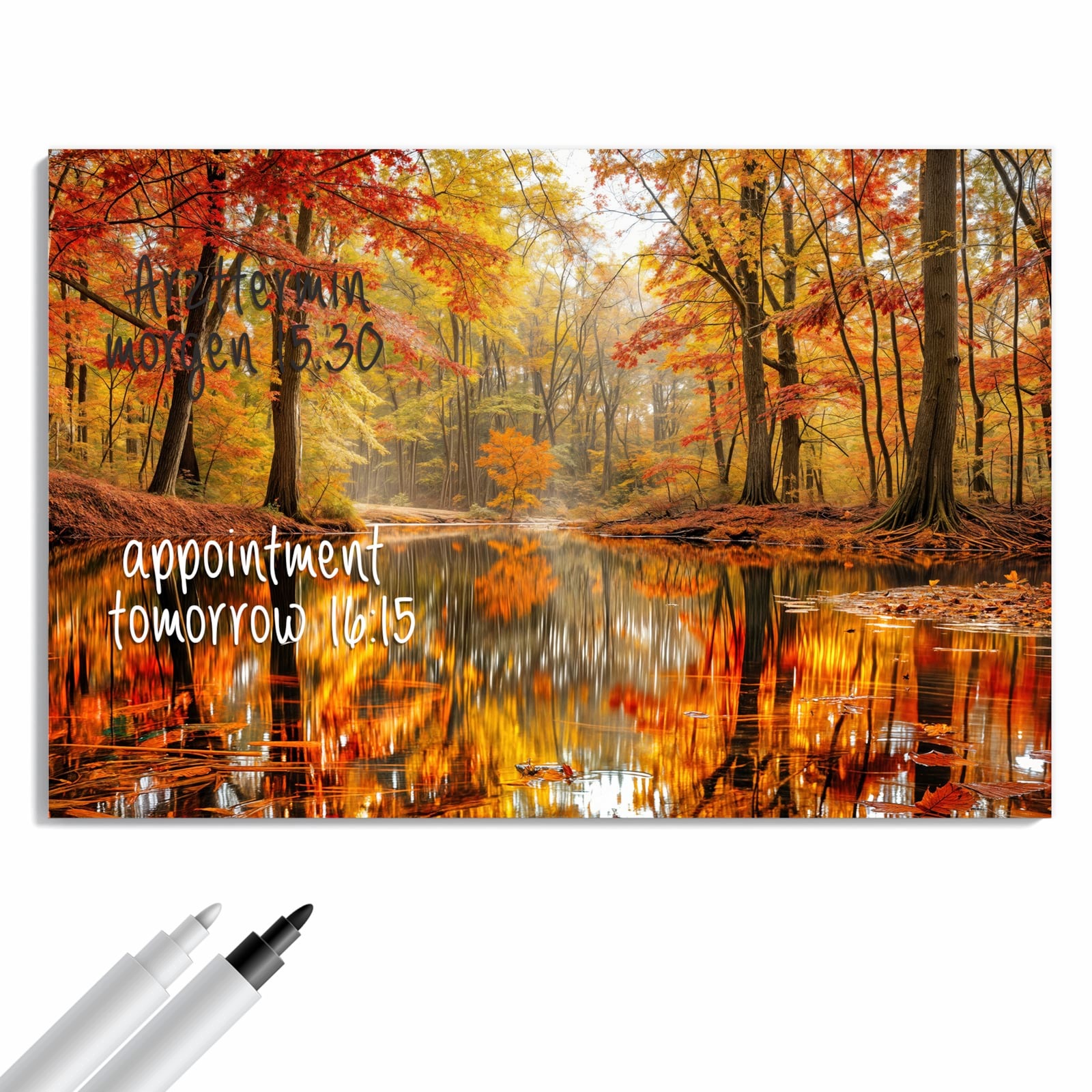 Magnetická tabule Podzimní les Jezero 60 × 40 cm