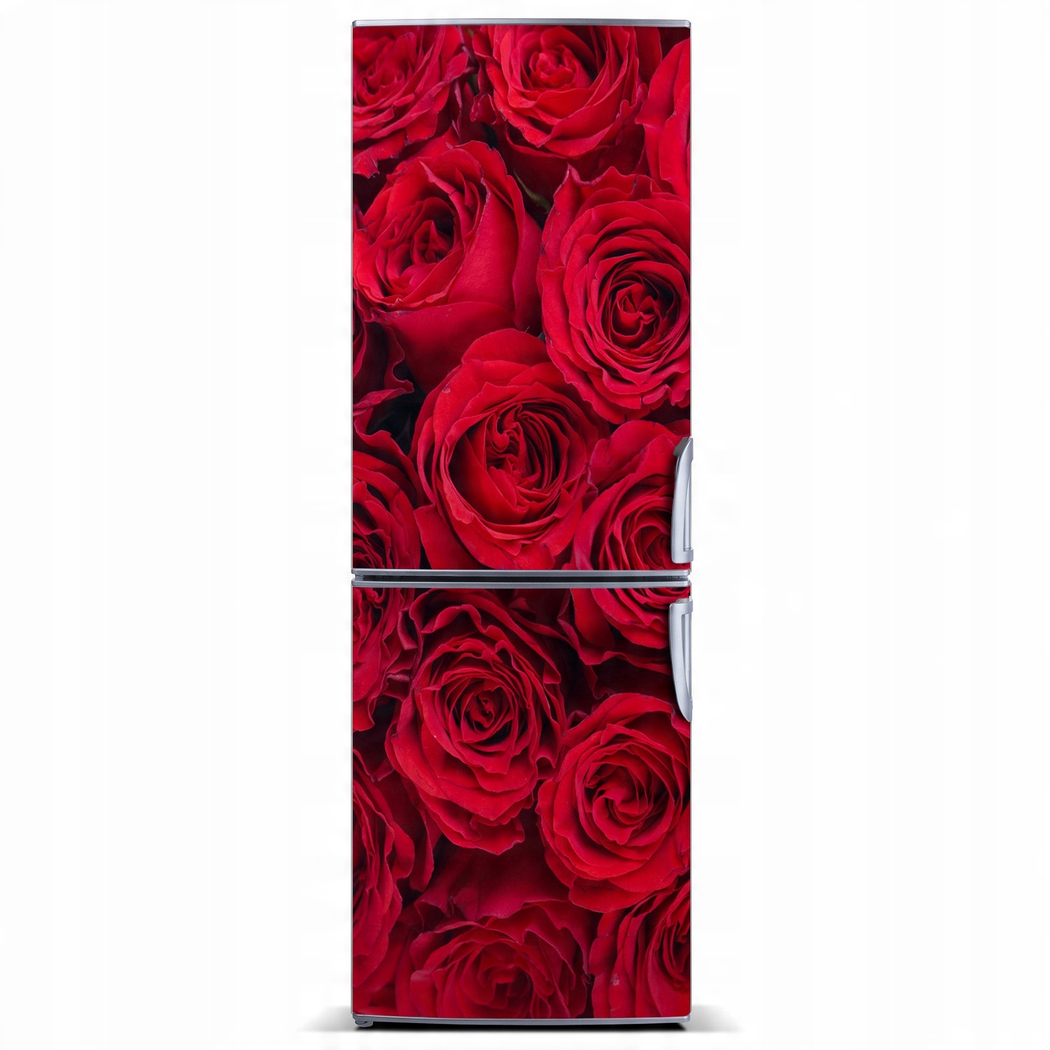 

Naklejka Magnes na lodówkę Czerwone róża 60x180