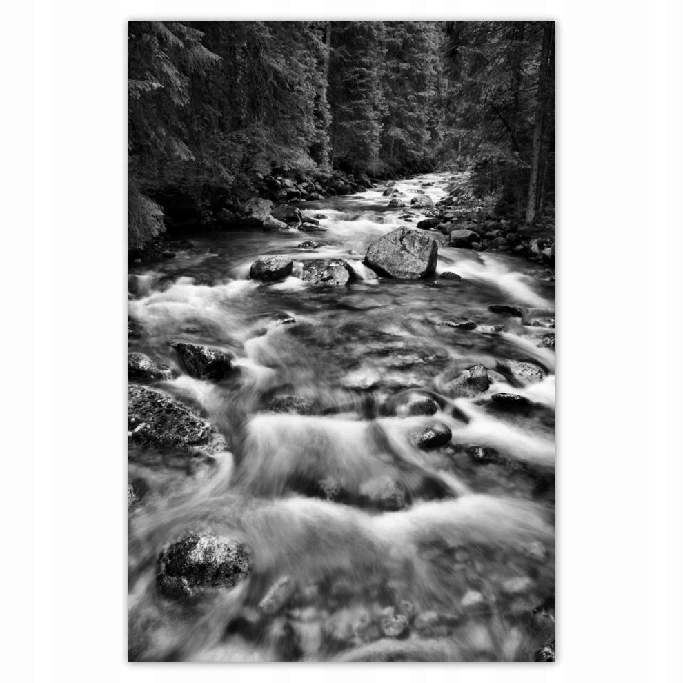 

Plakat 62x93 Tatry Polskie góry Widok