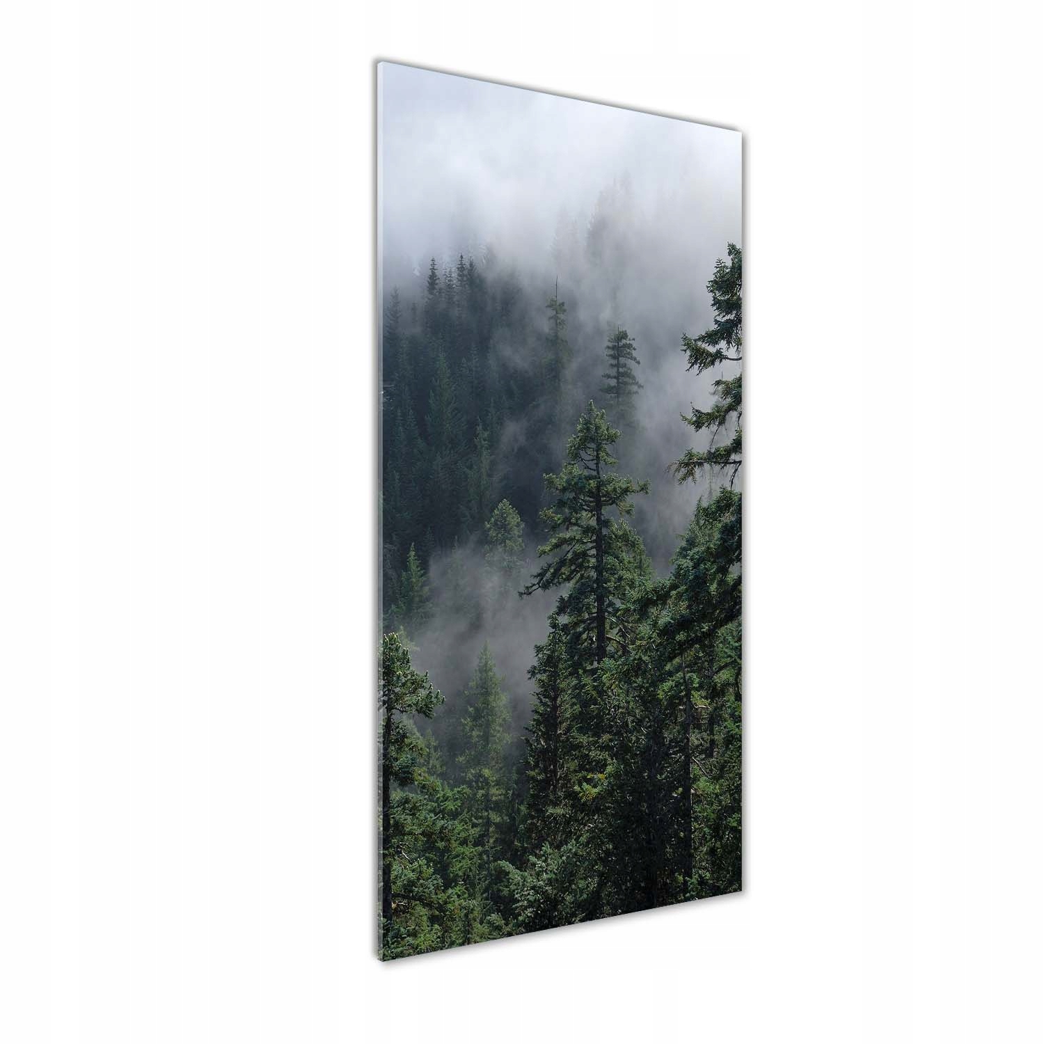 

Foto obraz akryl do salonu Mgła nad lasem 50x125cm