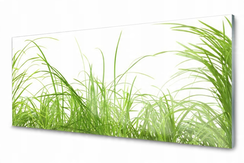 

Panel szklany do kuchni Trawa Roślina 125x50