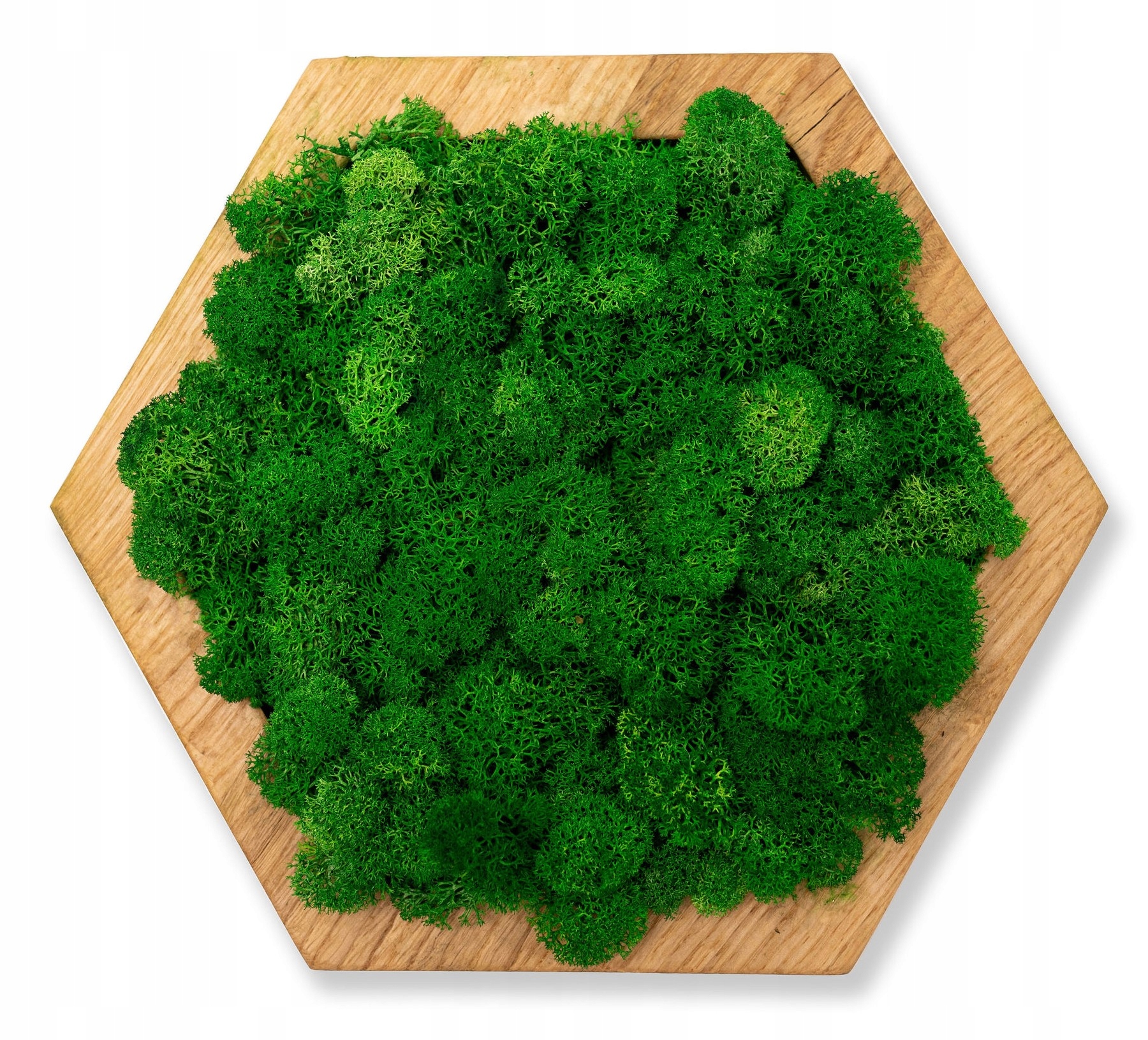 PANELE ŚCIENNE MECH CHROBOTEK JASNY HEKSAGON MINI Marka inna