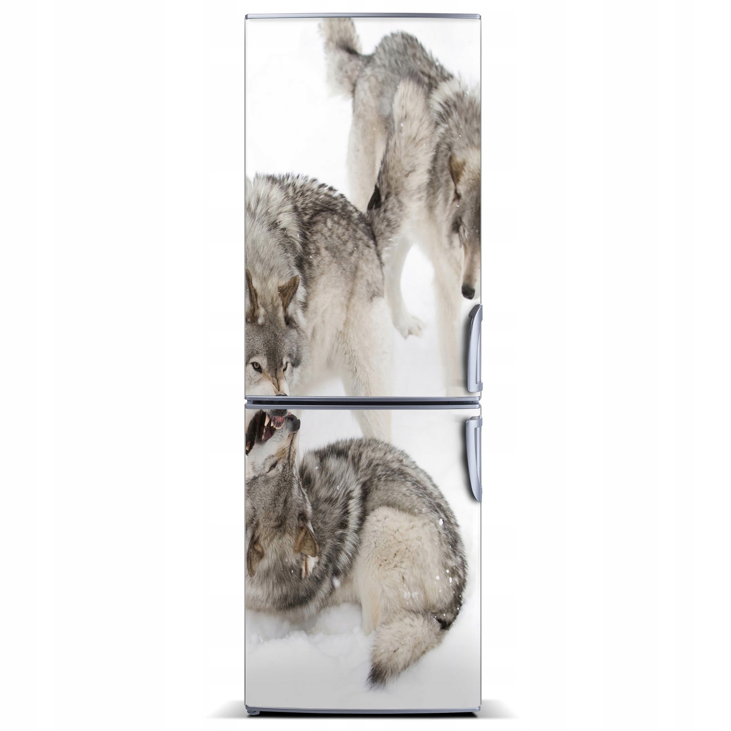 

Foto Magnes na lodówkę Szare wilki 60x180