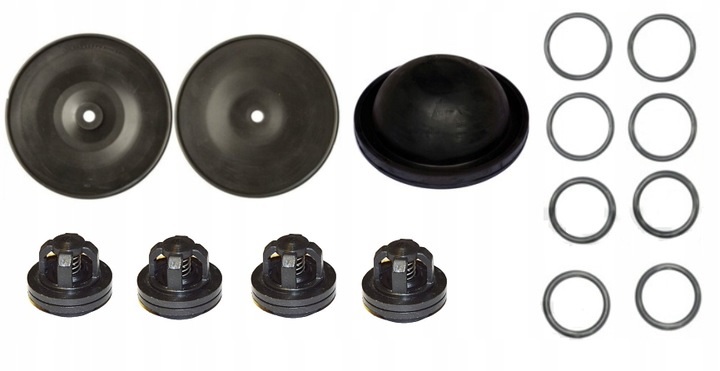 W19699 W21386 - РЕМОНТНИЙ КОМПЛЕКТ НАСОСА P-120 TOLVERI ОБПРИСКУВАЧ