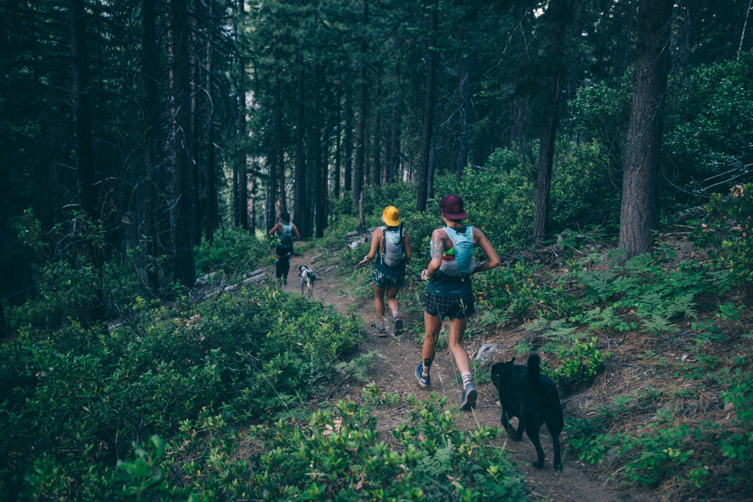 Zestaw kolorowych zabezpieczeń nakrętki Chute 2.0 Marka Camelbak