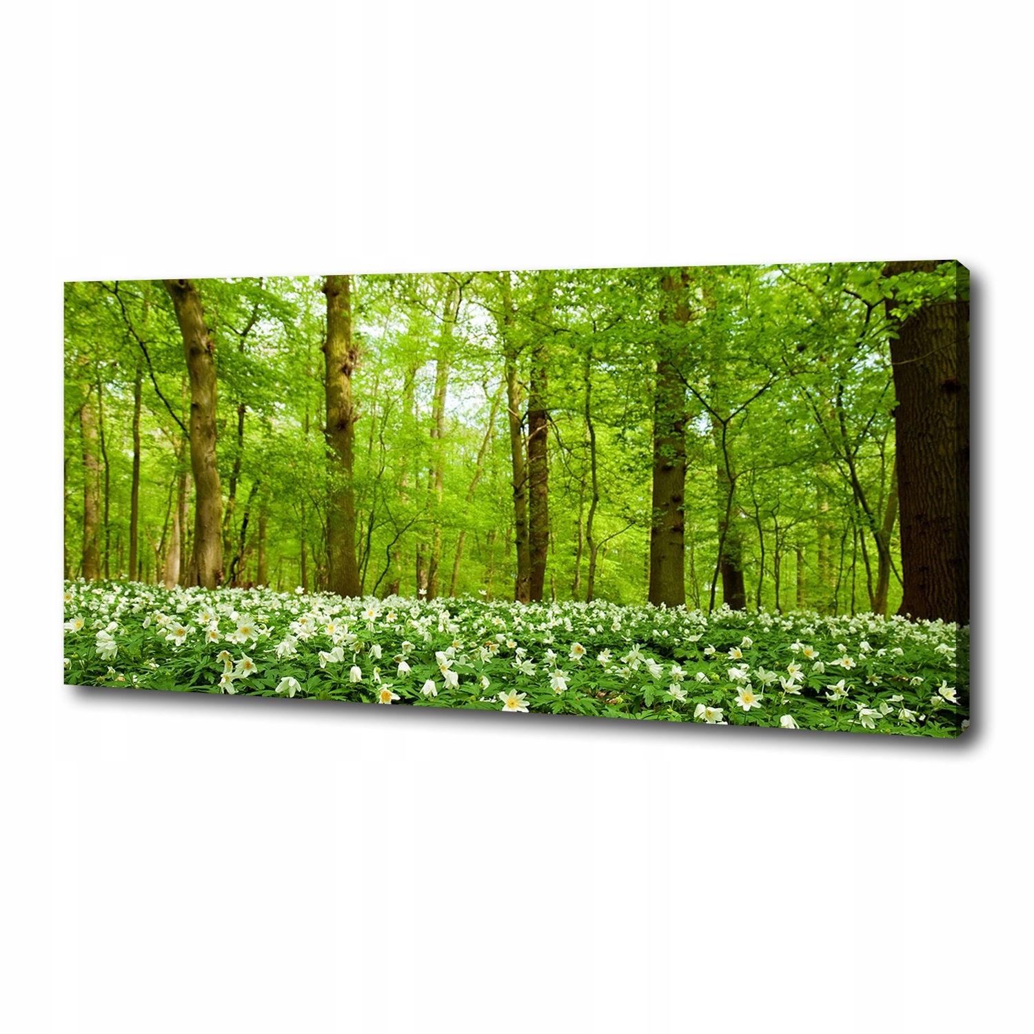 

Foto obraz na płótnie Kwiaty w lesie 125x50 cm