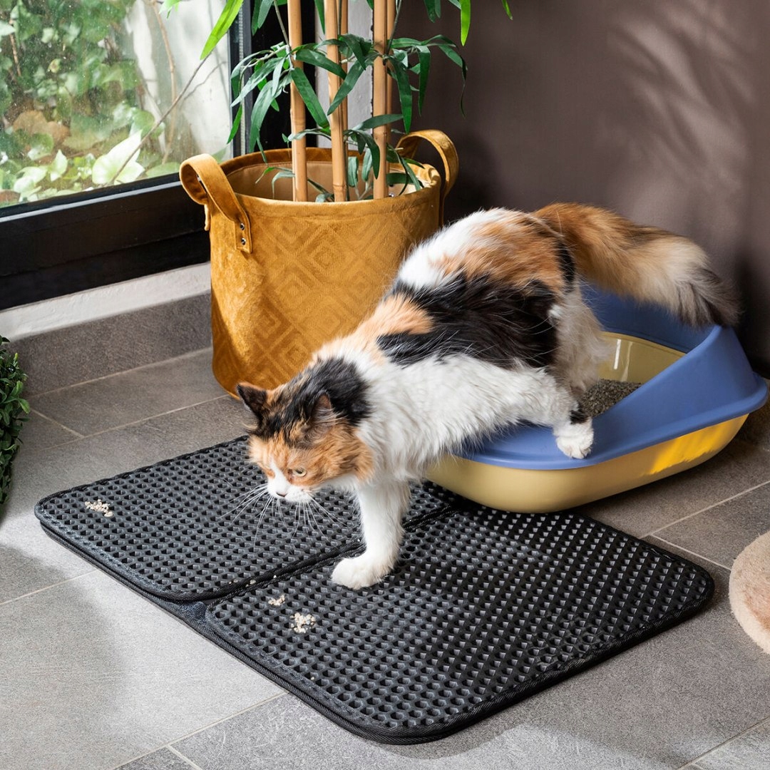 Levně Podložka do kočičí toalety Clikatt InnovaGoods