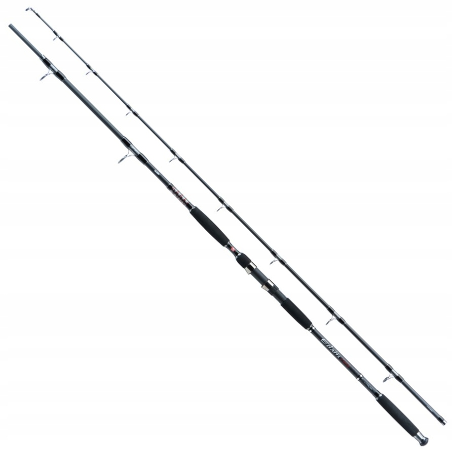 Wędka sumowa Jaxon Eclatis Cat Fish WJ-ECL285500
