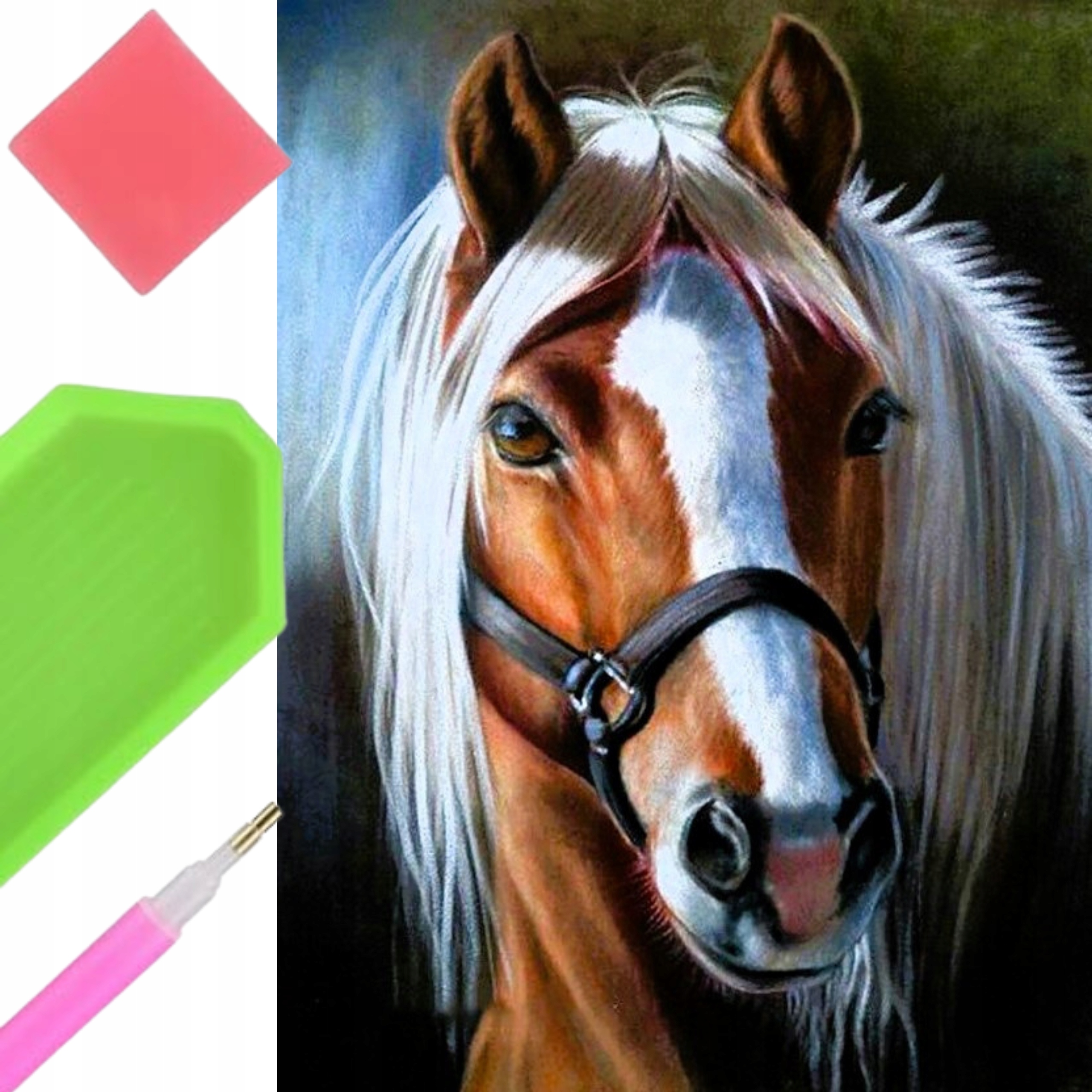 Velká Výšivka Diamantový Kůň Koně 80X40 XXL Diamond Paiting Obrovský Velký