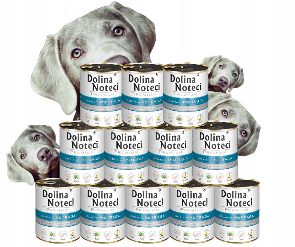 Levně Krmivo pro psy Dolina Noteci Pstruh sada 12x800g