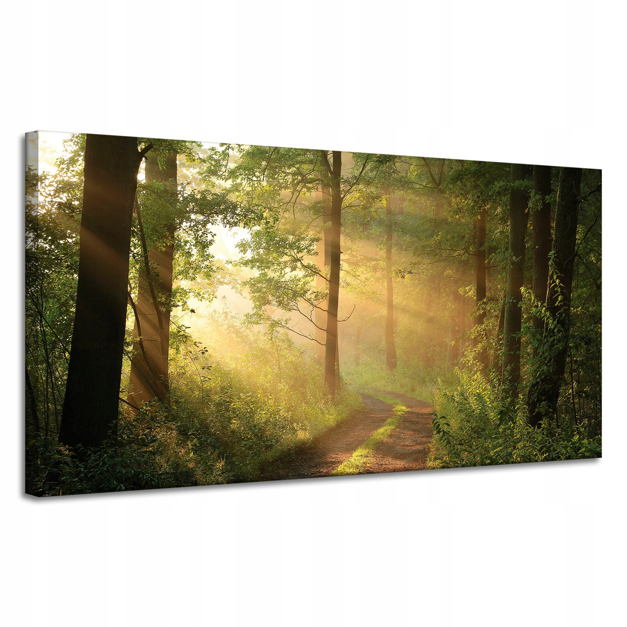 Obraz na plátně Světlo Slunce Les Stezka Příroda 120x60 cm