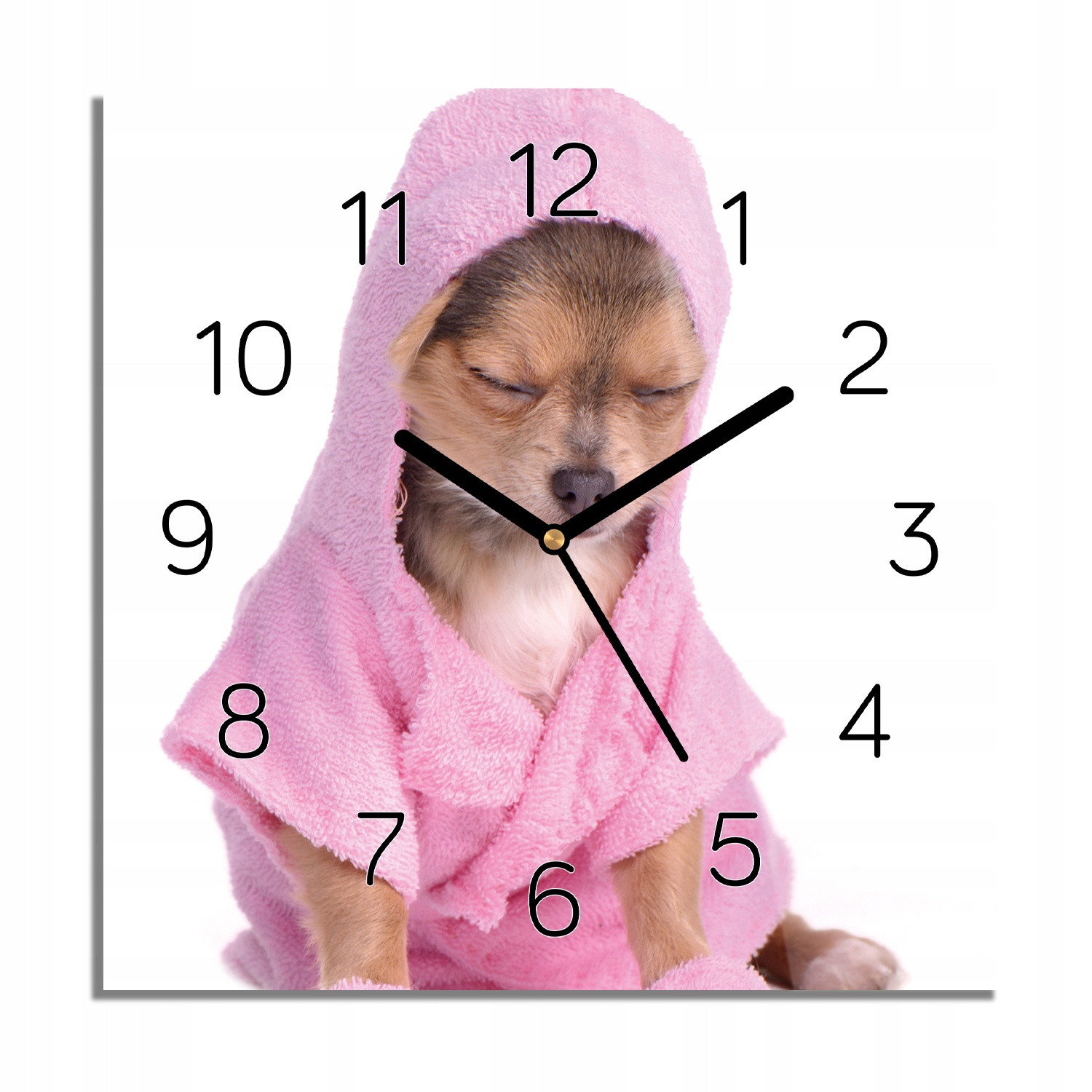 

Chihuahua szlafrok zegar szklany ścienny 30x30