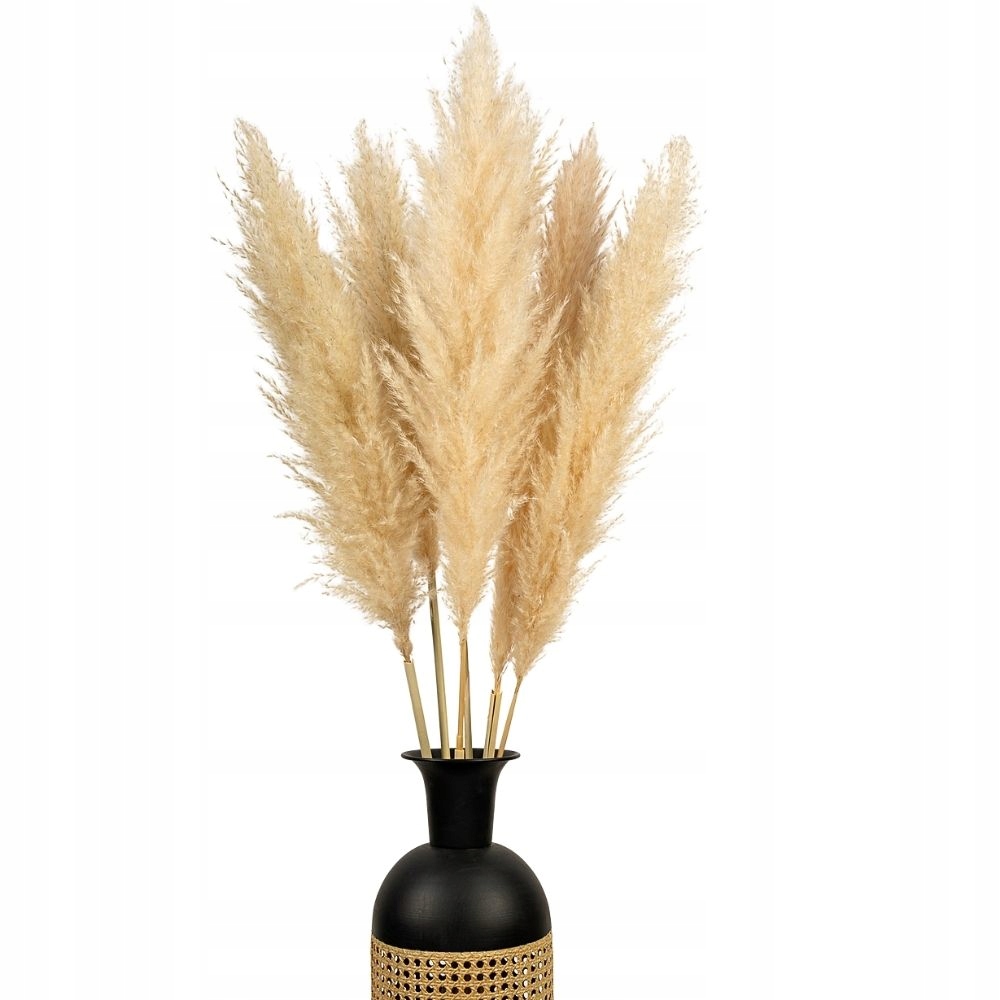 

Trawa Pampasowa Suszona Beżowa Boho Midium Royal