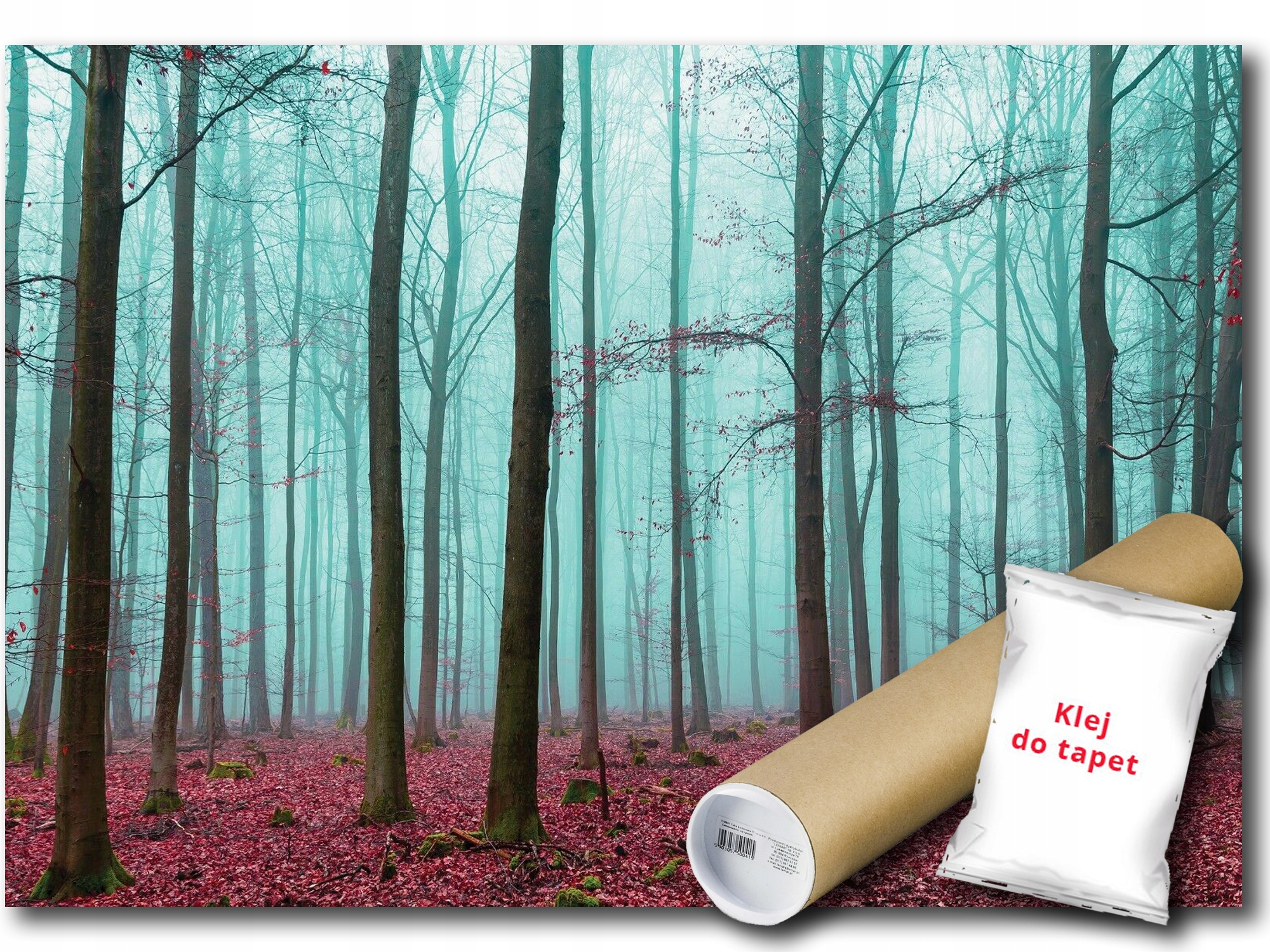 Vinylová Fototapeta Les Mlha Stromy 416x254