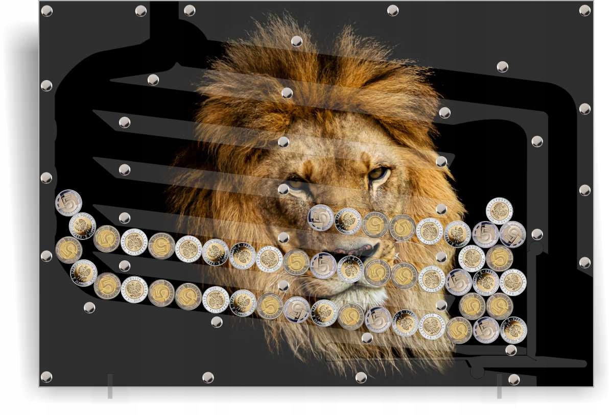 Piękny Obraz Zdjęcia Zwierząt Skarbonka 5zł Różne Autowypłata