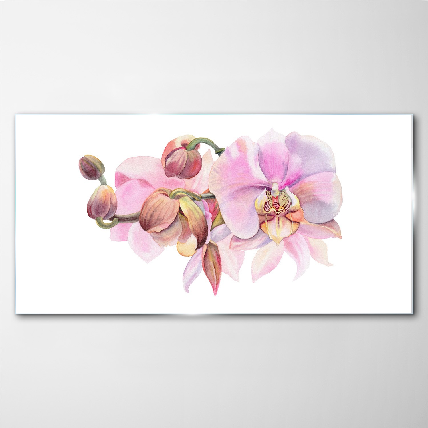 

Foto obraz szklany Akwarela kwiat orchidea 100x50