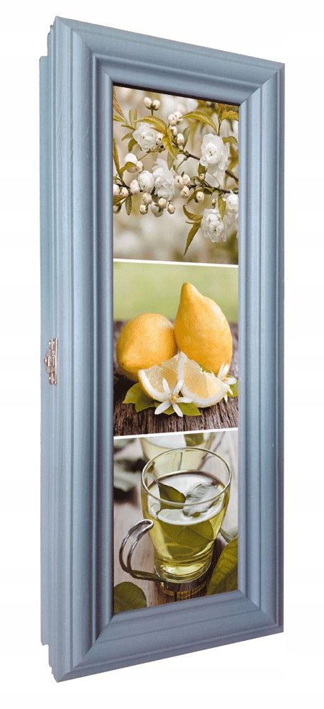 skrzynka na klucze SKP 52 S