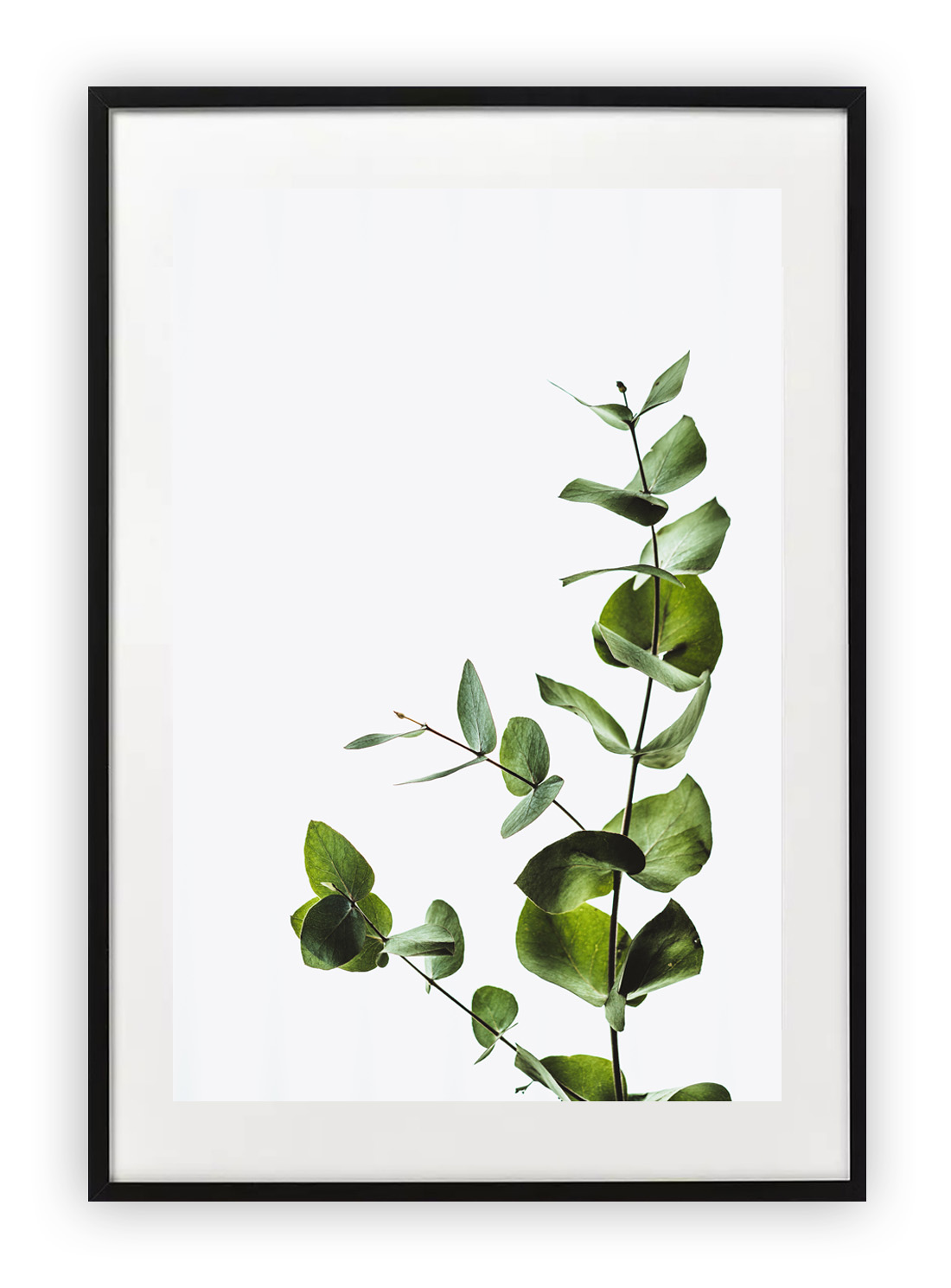 

Plakat 13x18 cm Roślina Natural Floral