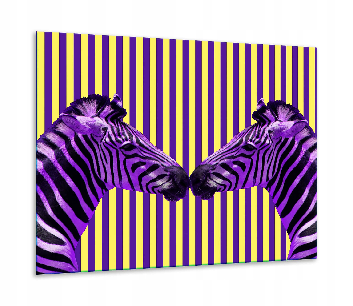 7v1 Skleněná Ochranná Deska Na Sporák 60x52 Zebra