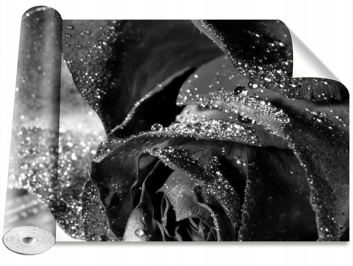 

Fototapeta Samoprzylepna Róża Woda 104x70