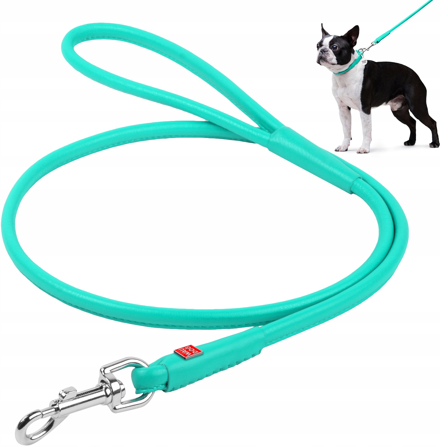 Levně Vodítko pro psa kožená, zářivá, kulatá, módní, mátová, 122 cm, 8 mm