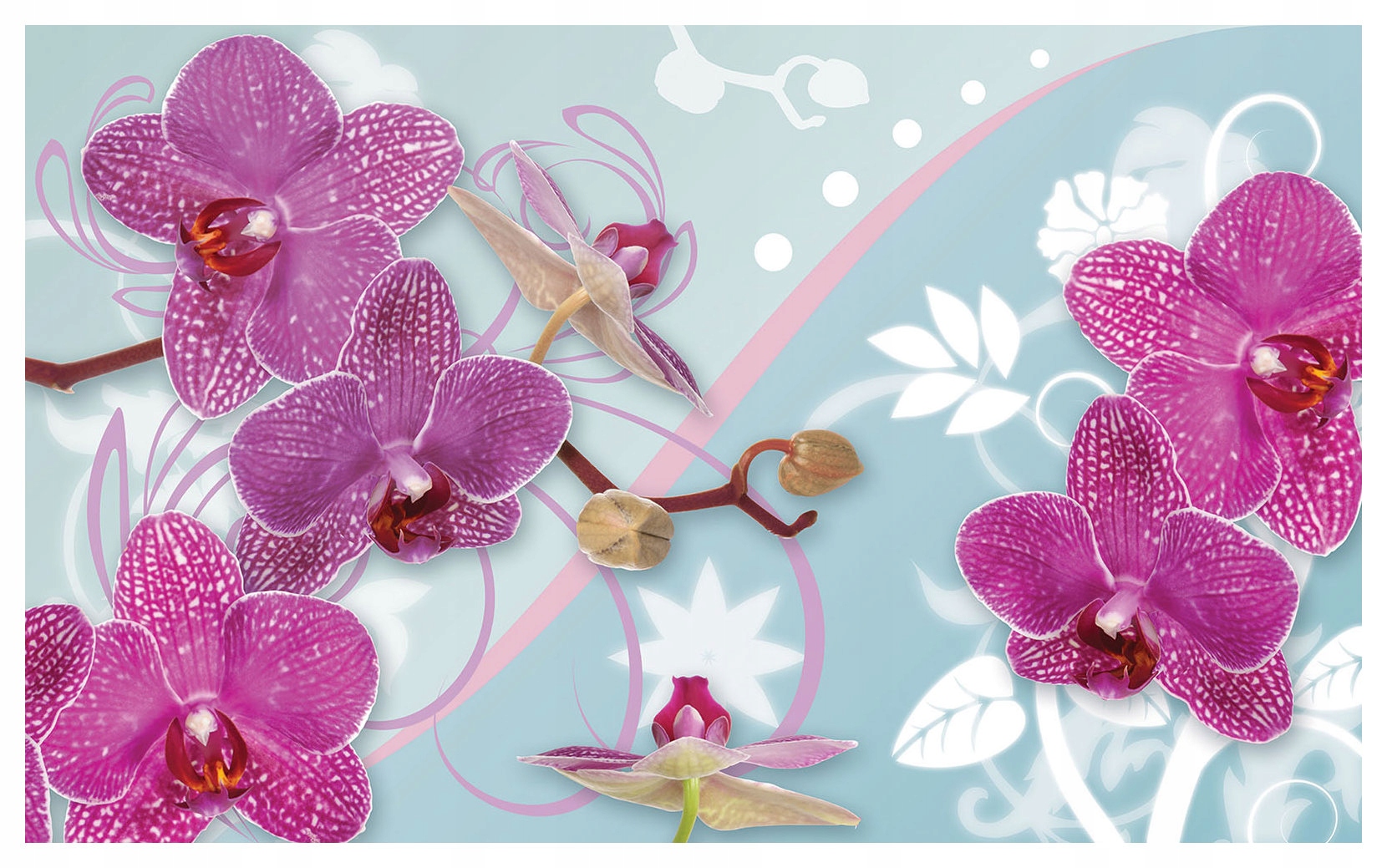 Fototapeta Fialové orchideje na zeď 254x184, jemné a stylové lepidlo