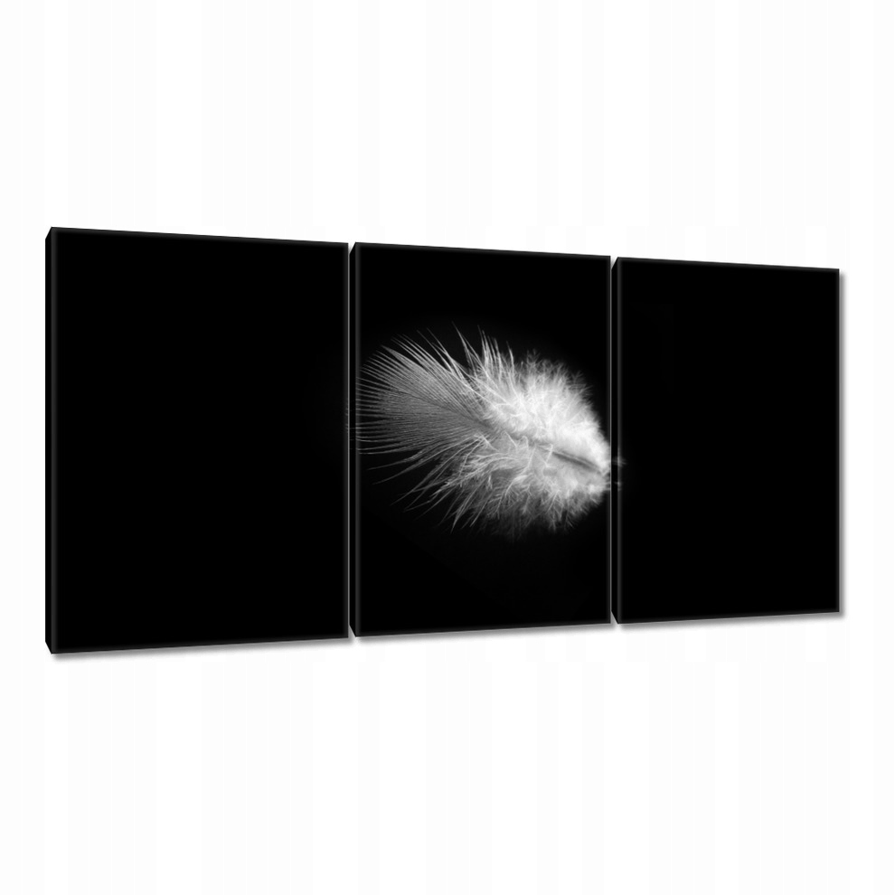 

Obrazy 120x60 Delikatne piórko Puszek