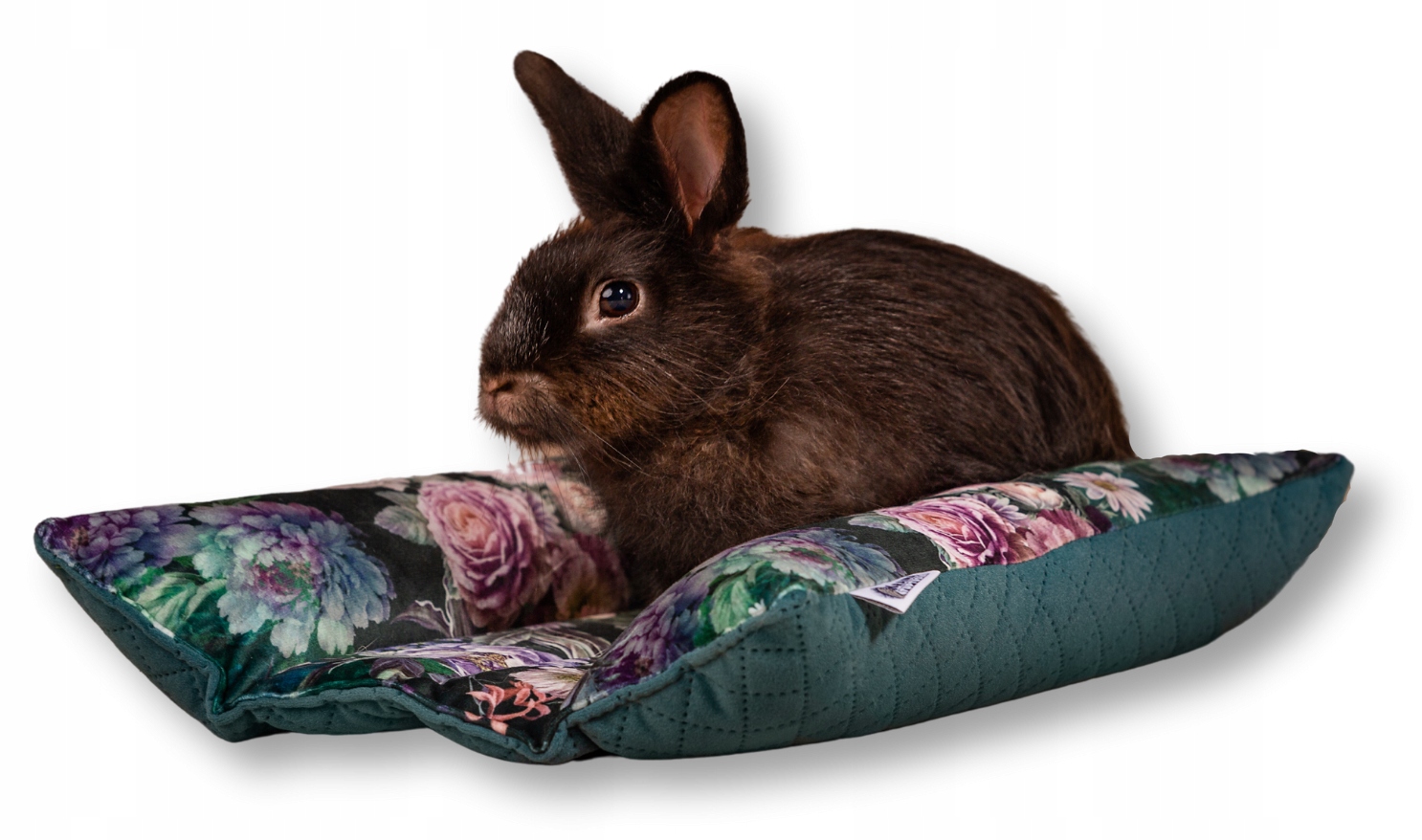 Levně Kraina Tuptusia pelíšek Péče O Koláček