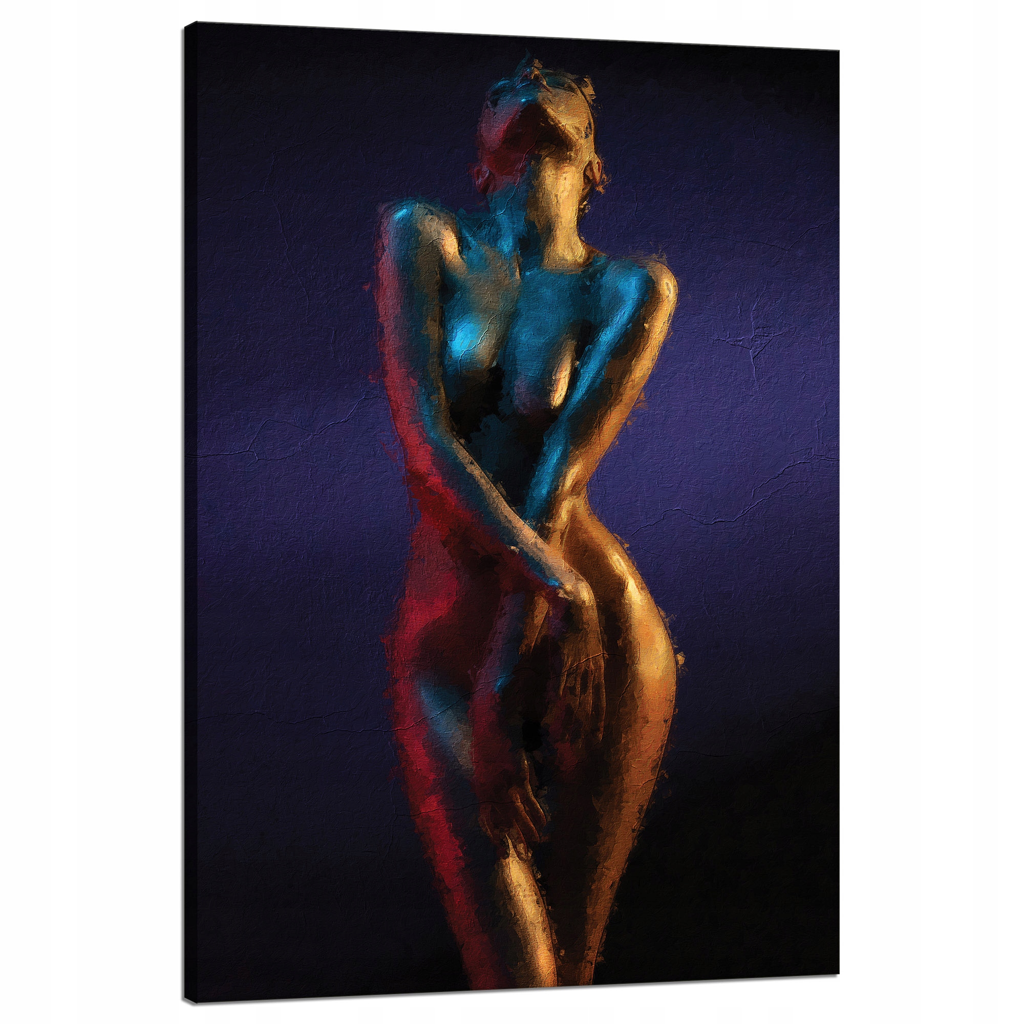 Obraz na plátně Tělo a tvary Ženy Umění 80x120 cm