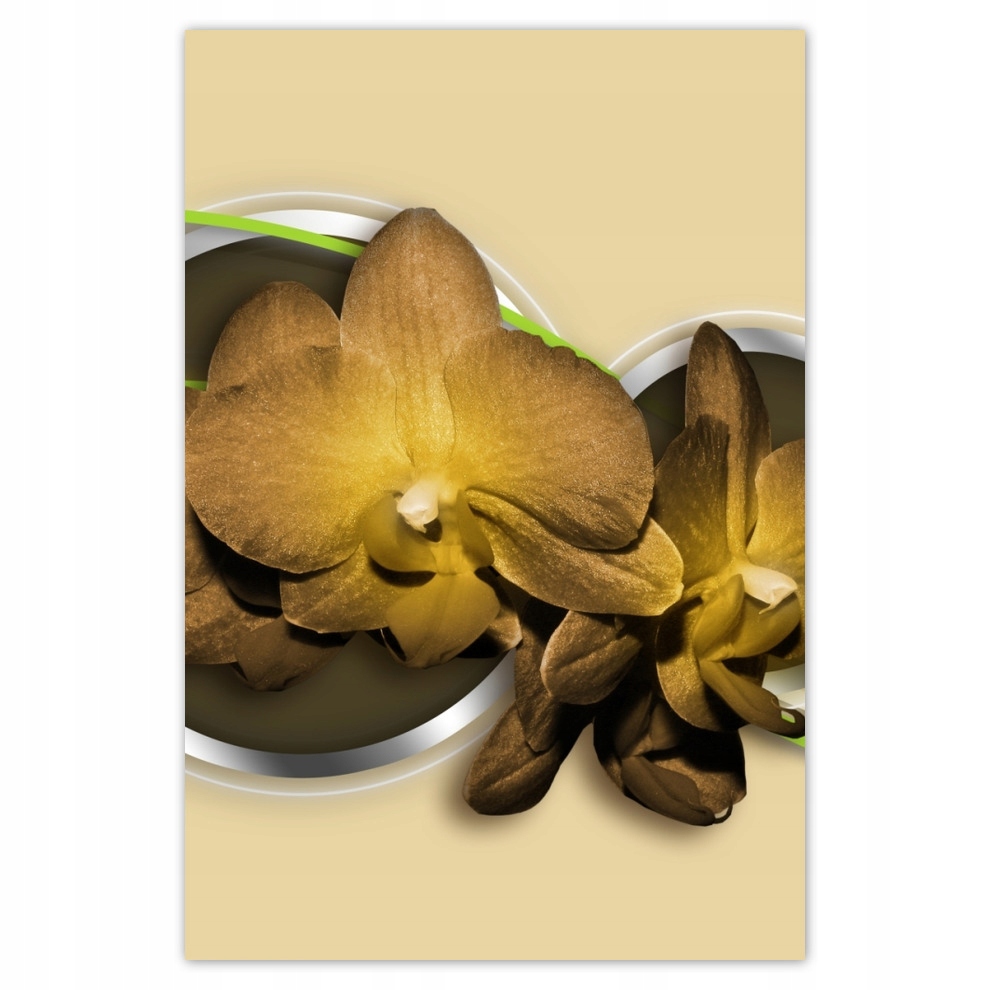 

Plakaty 62x93 Herbaciany oleander